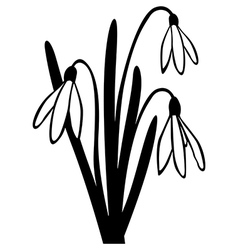 Download Snowdrop Vector Images (over 1,200)
