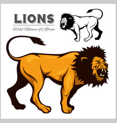 Https Stock Adobe Com Stock Photo Wild Cat Logo Https Stock Adobe Com Stock Photo Wild Cat Logo