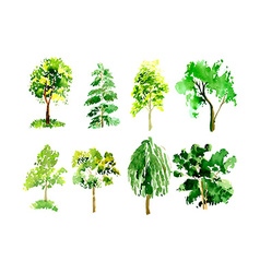 Isolated tree Royalty Free Vector Image - VectorStock