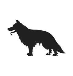 Poses of German Shepherd Dog Royalty Free Vector Image
