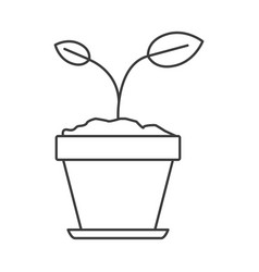 Free Free 270 Silhouette Flower Pot Svg SVG PNG EPS DXF File