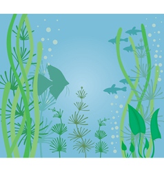 Set of cartoon underwater plants Royalty Free Vector Image - VectorStock