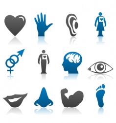 Physiology icons vector image