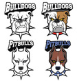 Dogs mascot set vector image