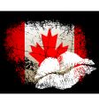 Flag vector image