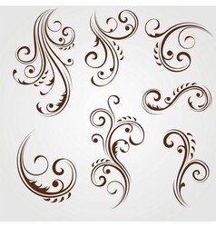 Floral design elements vector image