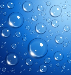 Water drops on blue background vector image