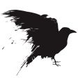 Grunge birds vector image