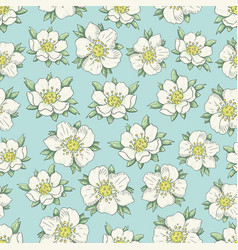 Strawberry flowers Strawberry flowers vector image