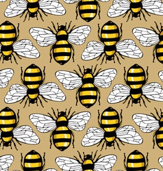 Bee honey pattern vector image