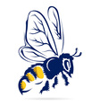 Honey bee flying vector image