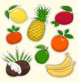 Set of tropical and citrus fruit stickers Set of tropical and citrus fruit stickers vector image