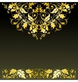 Elegant background with lace ornament vector image