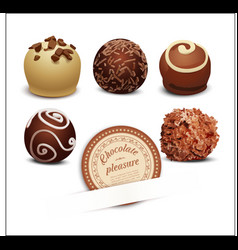 Set of chocolates vector image