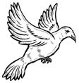 Dove in flight vector image