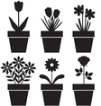 Pot plants set vector image