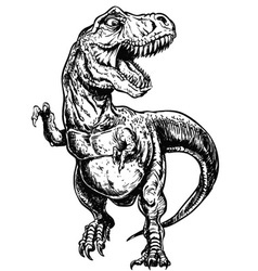Tyrannosaurus dinosaur linework vector image