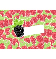 Berry Berry vector image