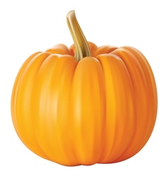 Pumpkin vector image