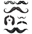 Hand drawn mustache set vector image