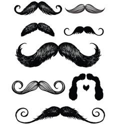 Hand drawn mustache set vector image