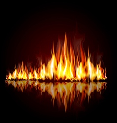 Burning flame vector image