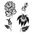 Floral graphic design elements vector image