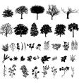 Tree silhouette vector image
