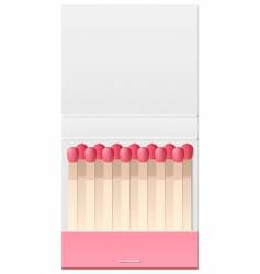 Match book vector image