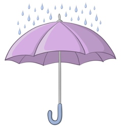 Umbrella and rain vector image