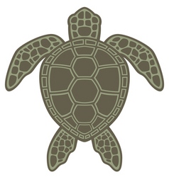 Sea turtle vector image