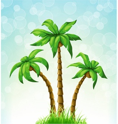Summer with palm trees vector image
