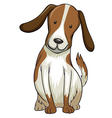 A smiling dog vector image