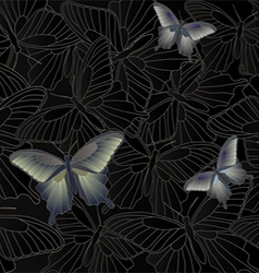 Wallpaper background with a butterfly vector image