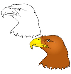 Eagle head vector image