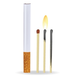 Cigarette and matches vector image