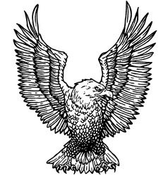 Eagle vector image