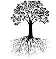 Tree silhouette vector image