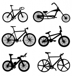 Bicycle vector image
