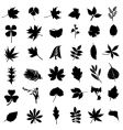 Set of leaf vector image