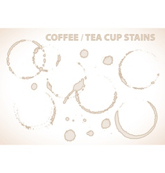 Coffee stains vector image