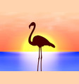 Silhouette flamingo on a background sunset Silhouette flamingo on a background sunset vector image