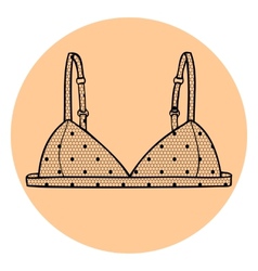 Lacy sexy bra vector image