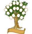 Family tree vector image