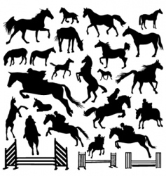 Horse Horse vector image