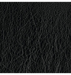 Leather material vector image