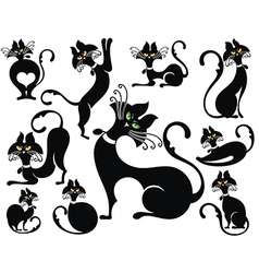 Cats vector image