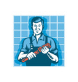 Plumber Worker vector image