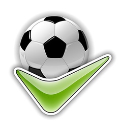 Football all right vector image