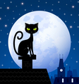 Black cat and moon vector image
